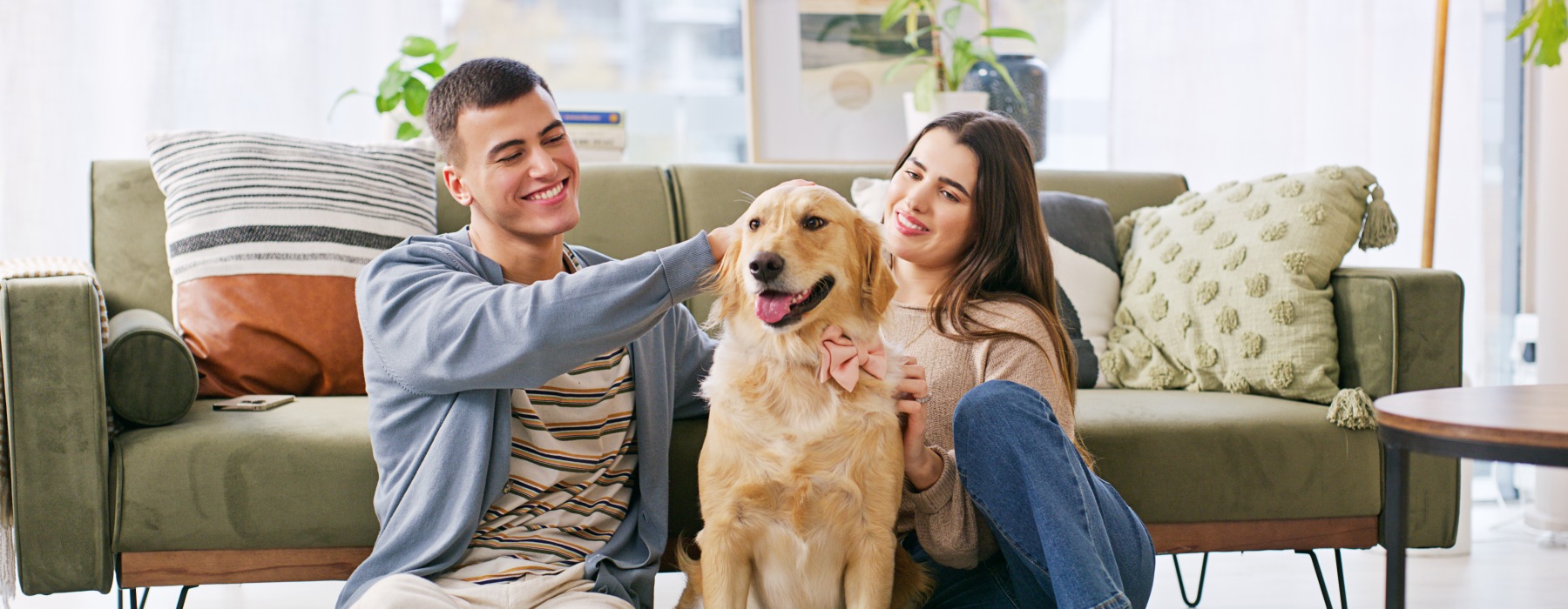 Comfort, Convenience, and a Touch of Carolina Calm